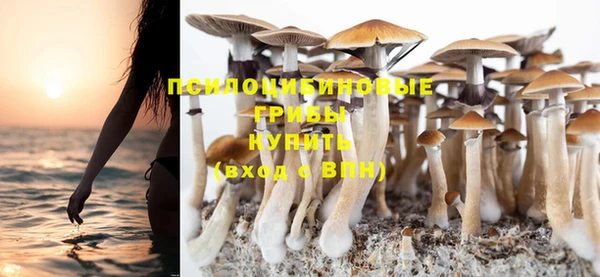 соль курить ск Абаза