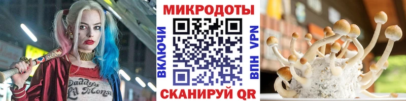 Псилоцибиновые грибы GOLDEN TEACHER дарнет шоп Щёлкино